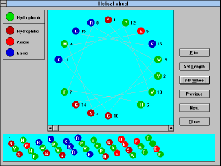 Figure 22: Screen Capture 
of Helical Wheel Window